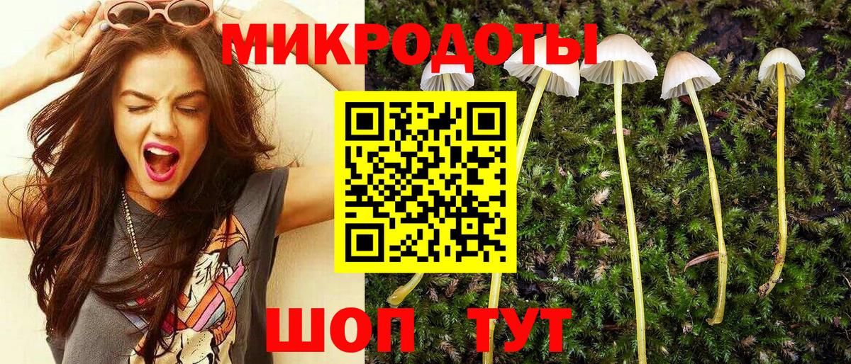 Галлюциногенные грибы Cubensis Тихорецк
