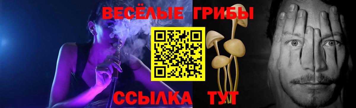 Тихорецк  Галлюциногенные грибы прущие грибы  Вход с VPN 